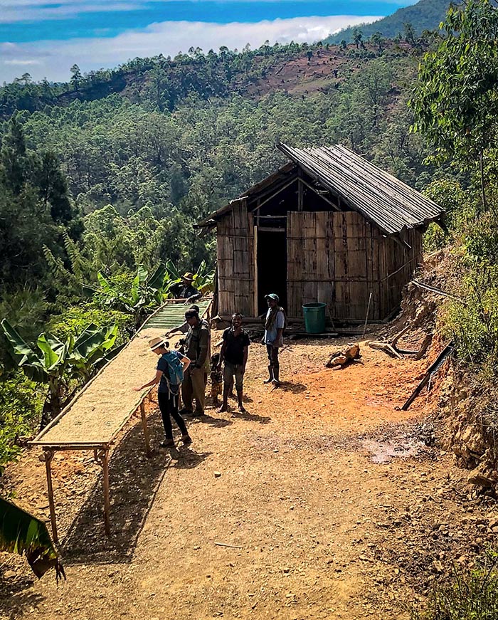 Eratoi cooperative farmers walking to a wooden hut on the hillside, East Timor