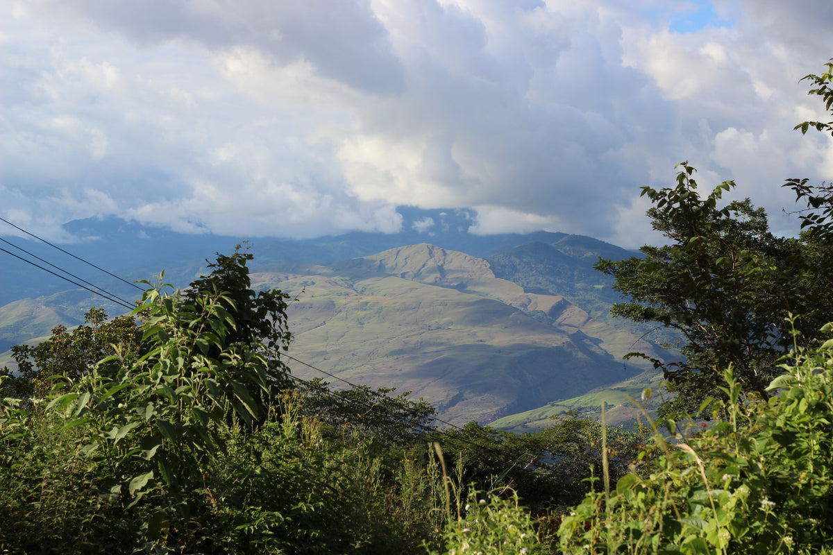 Mountain view over coffee-growing hills at origin
